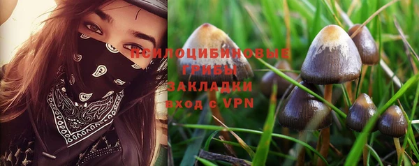 ГАЛЛЮЦИНОГЕННЫЕ ГРИБЫ Волоколамск