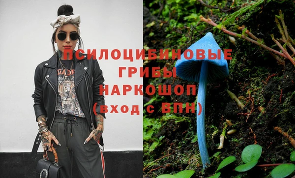марки nbome Вяземский